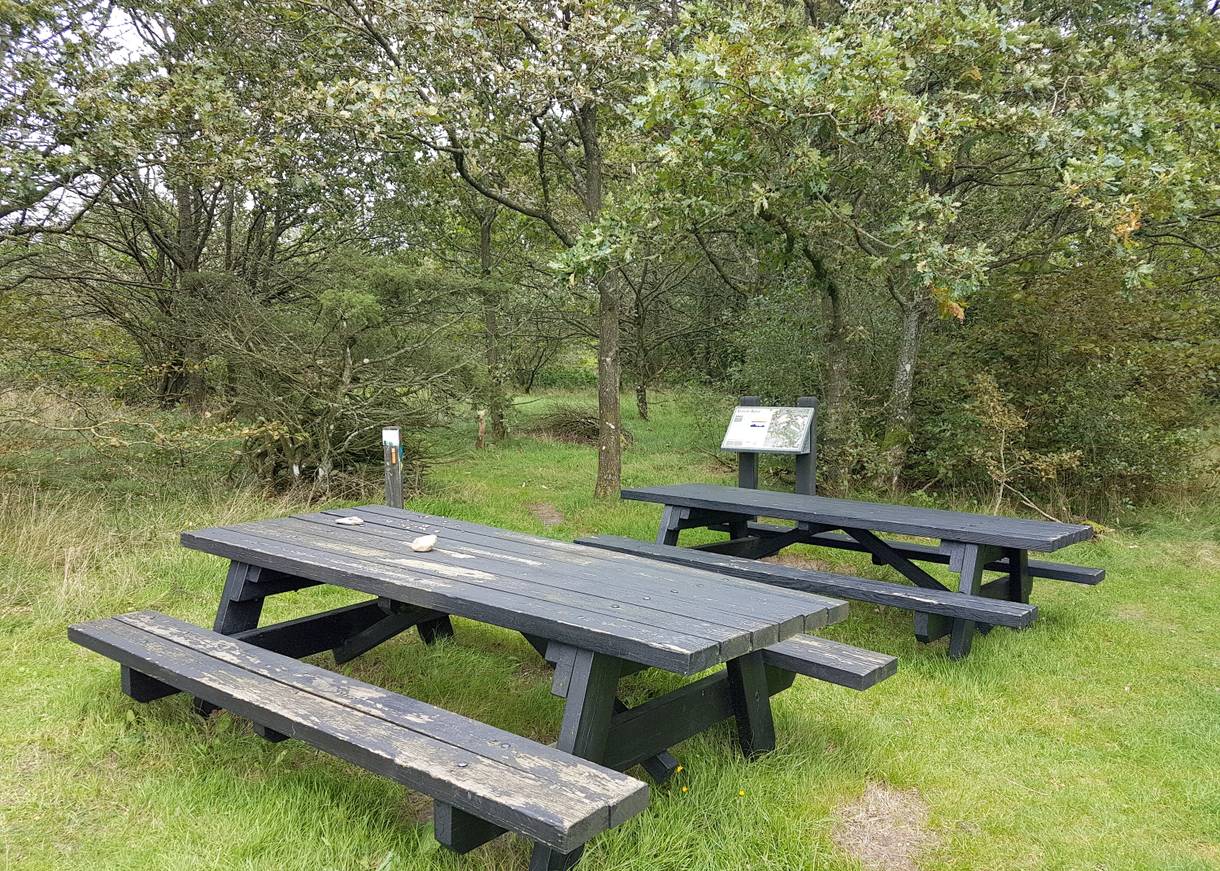 Picknickplatz mit zwei Tischen, dahinter ein Hinweisschild am Weg 