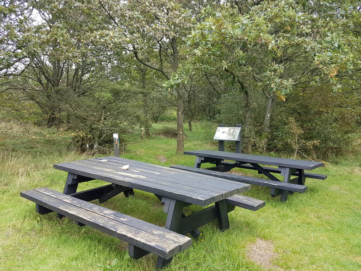 Picknickplatz mit zwei Tischen, dahinter ein Hinweisschild am Weg 