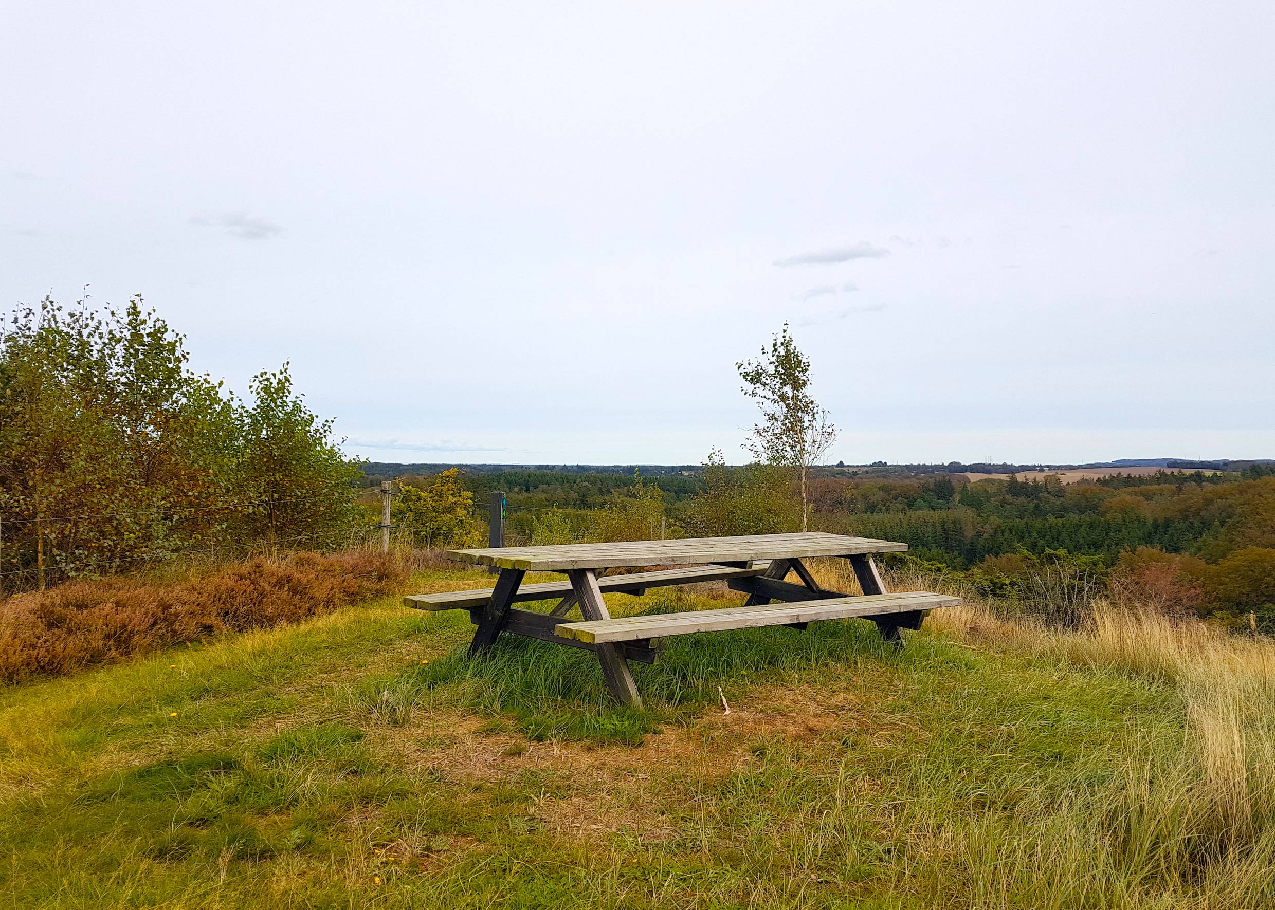 Picknickbank auf einem Hügel