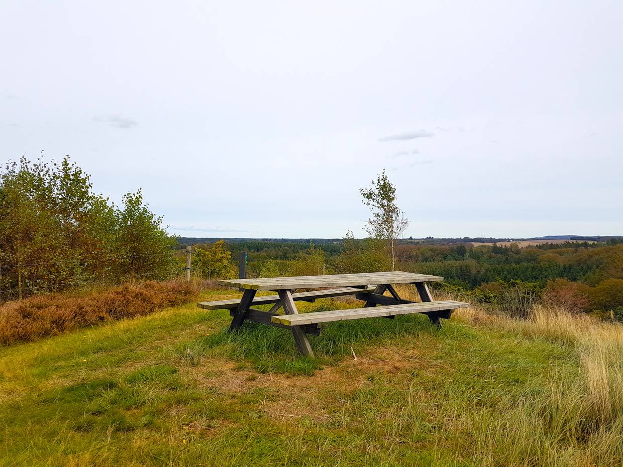 Picknickbank auf einem Hügel