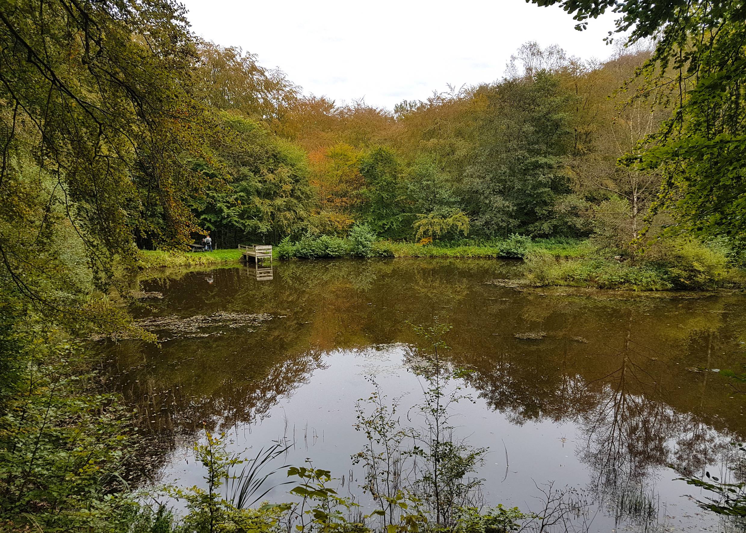 Kleiner Waldsee im Herbst