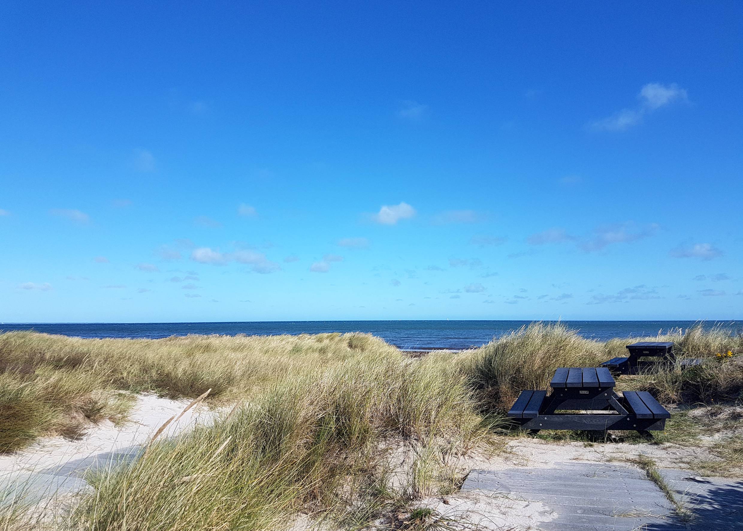 Picknickbänke in den Dünen mit Meerblick
