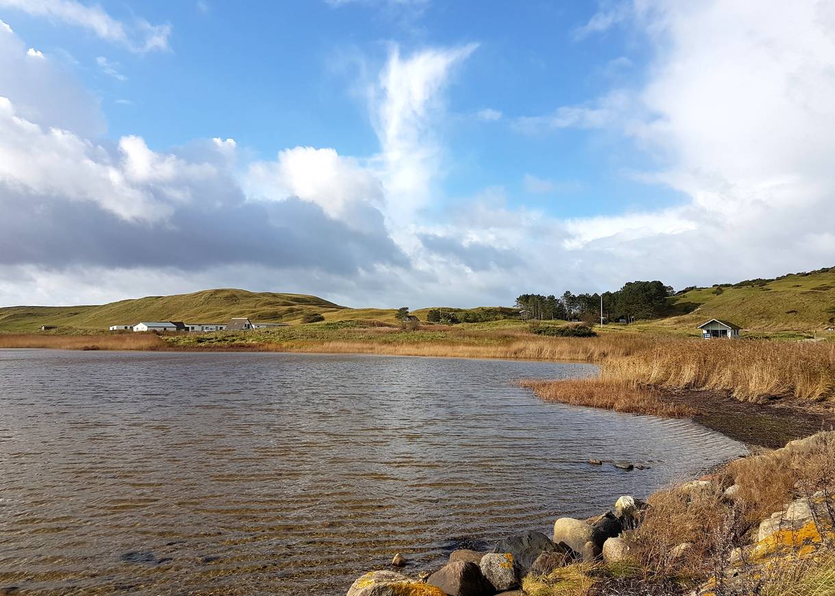 Blick über eine kleine Bucht mit grünen Hügeln im Hintergrund
