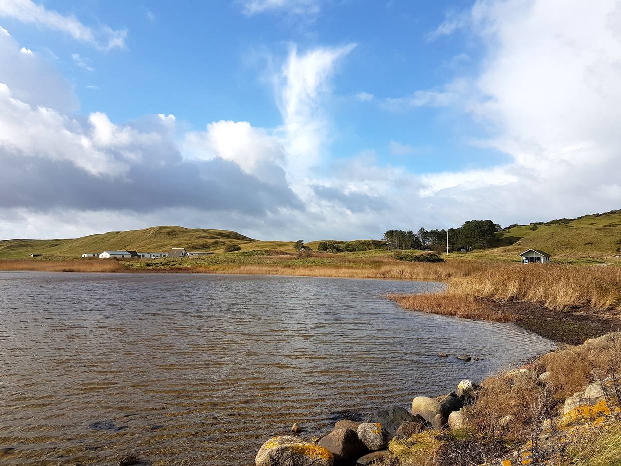 Hügellanschaft am Meer