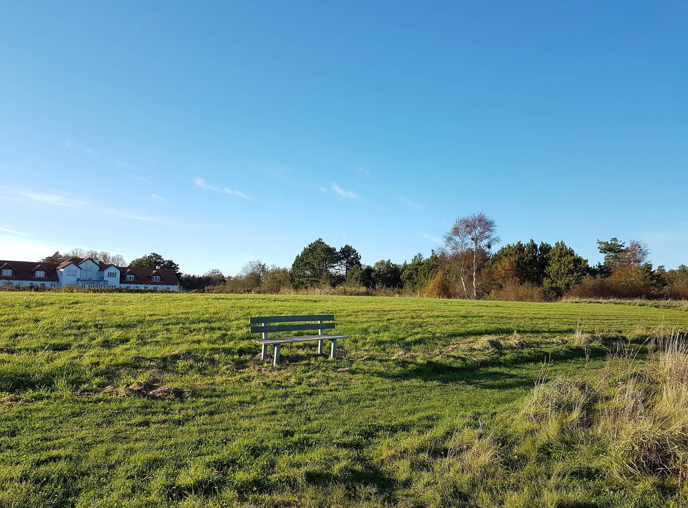 Bank am Weg vor einer grünen Wiese