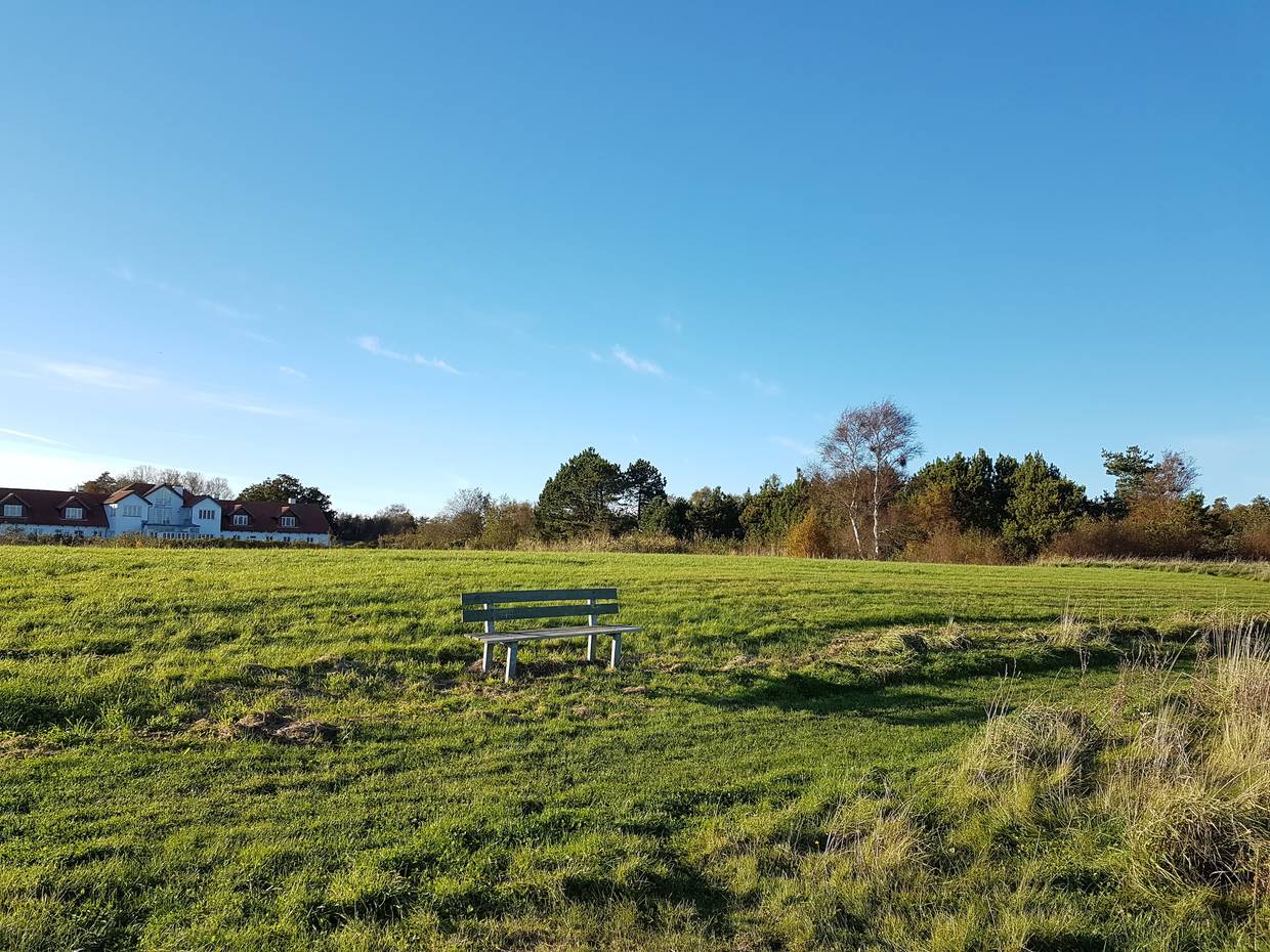 Bank am Weg vor einer grünen Wiese