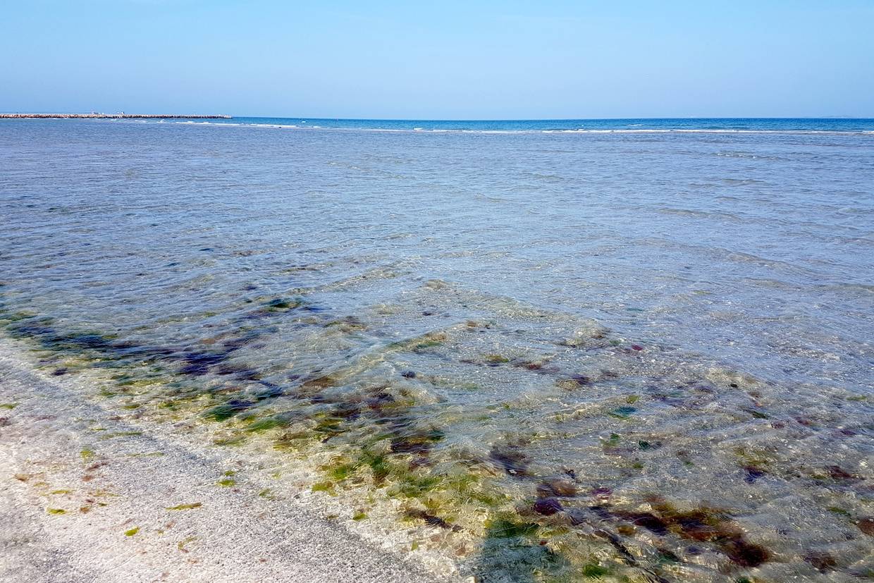Foto von Palmenstrand