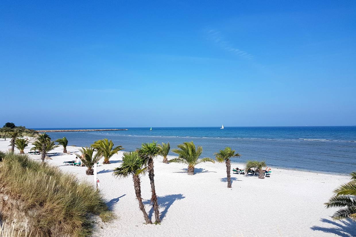 Foto von Palmenstrand