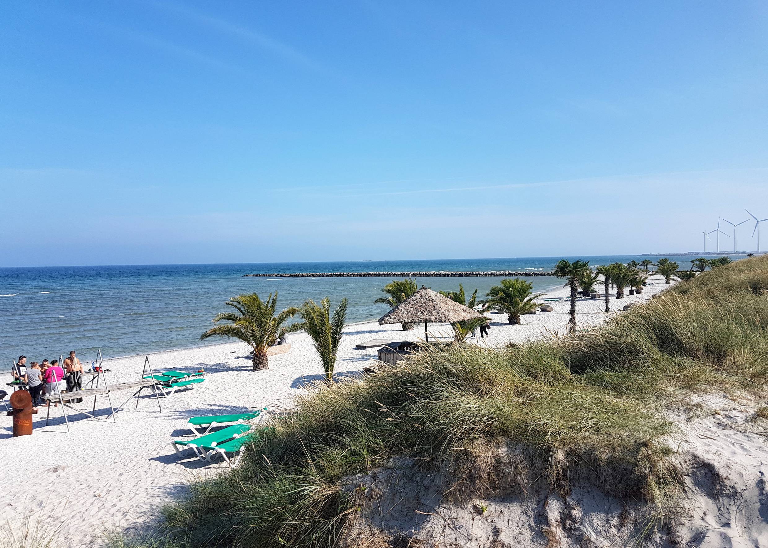 Strand mit Palmen, Sonnenliegen und einer Dünenreihe
