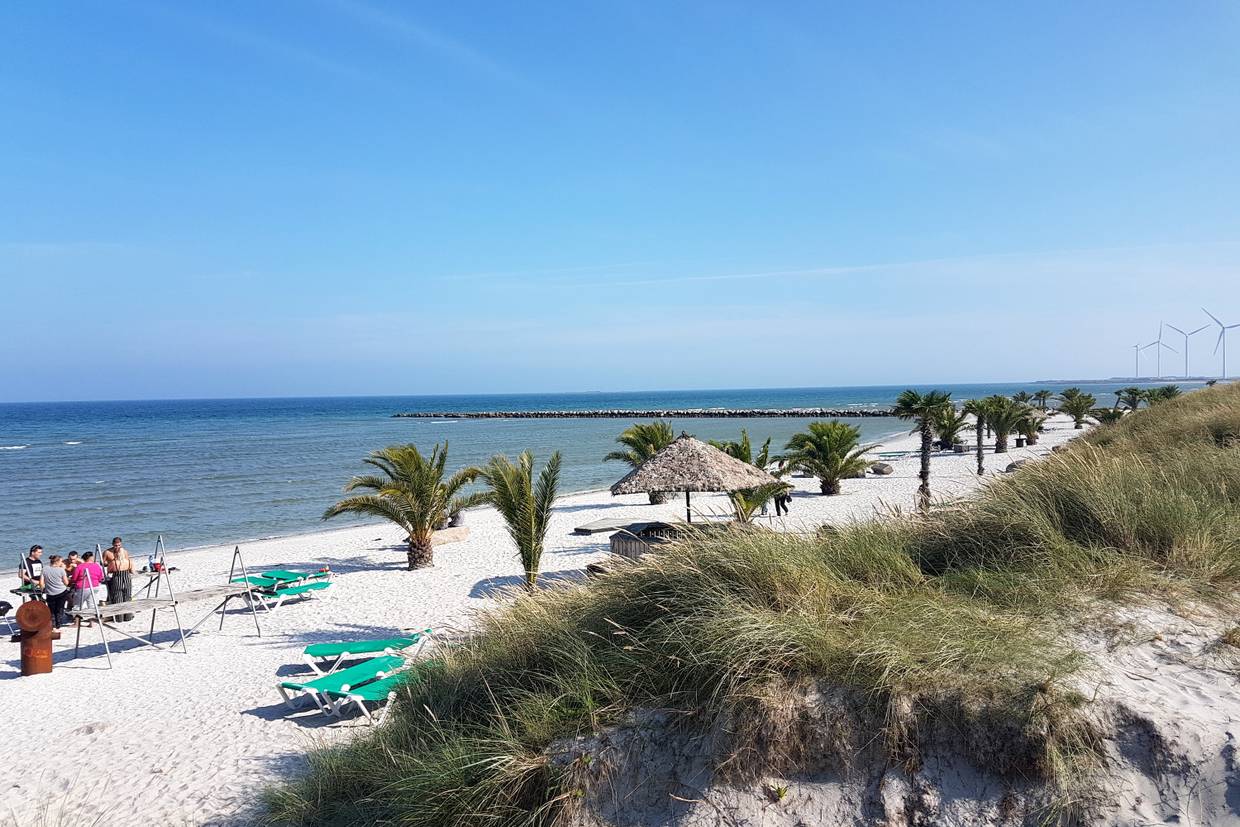 Foto von Palmenstrand