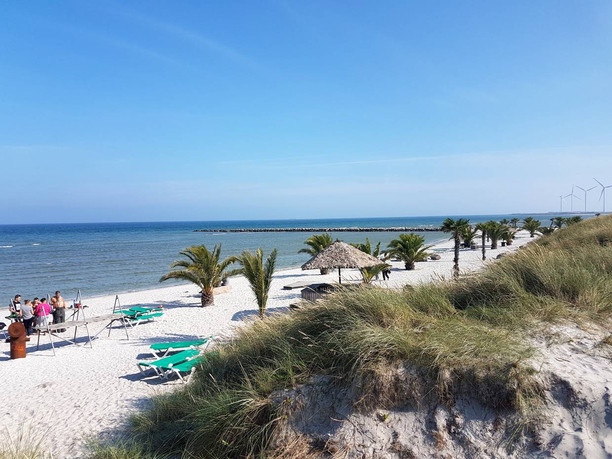 Strand mit Palmen, Sonnenliegen und einer Dünenreihe
