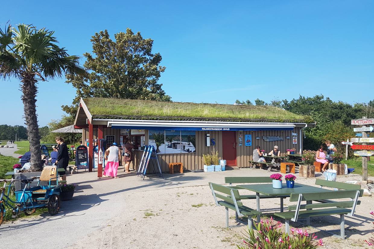 Foto von Palmenstrand