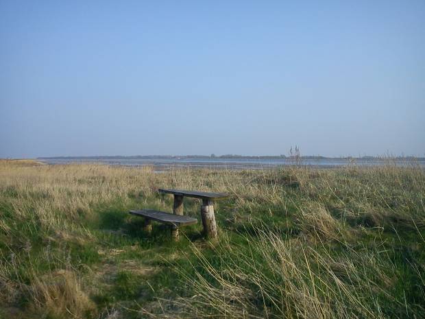 Ausblick über eine flache Landschaft am Meer mit einer Holzbank im Vordergrund