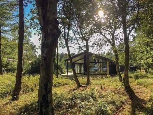 Ferienhaus Helberskov zwischen Bäumen
