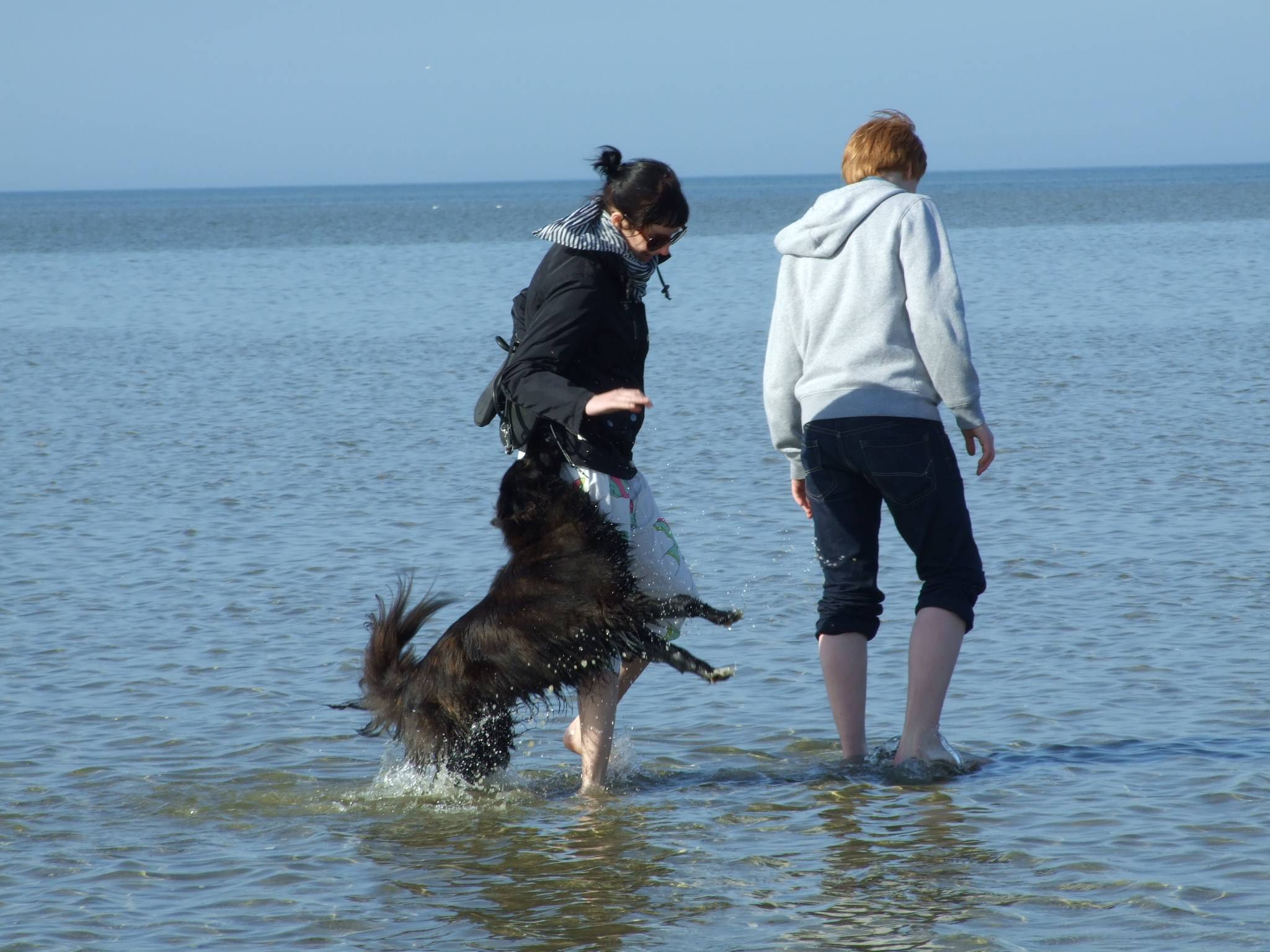 Ein Paar mit einem Hund im flachen Wasser