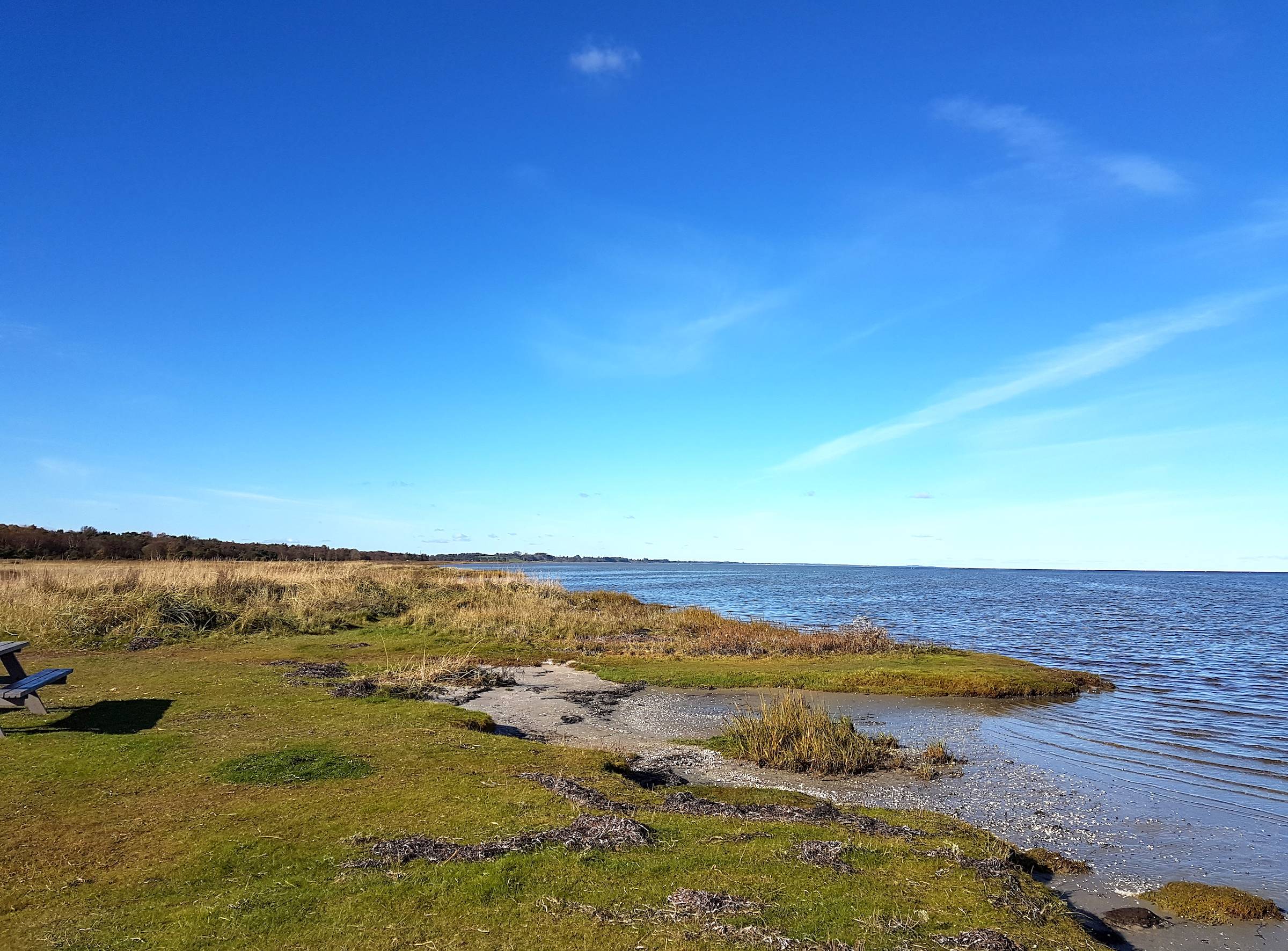 Ostseeküste mit Wiese bis zum Wasser