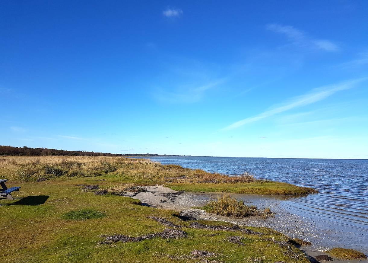 Ostseeküste mit Wiese bis zum Wasser