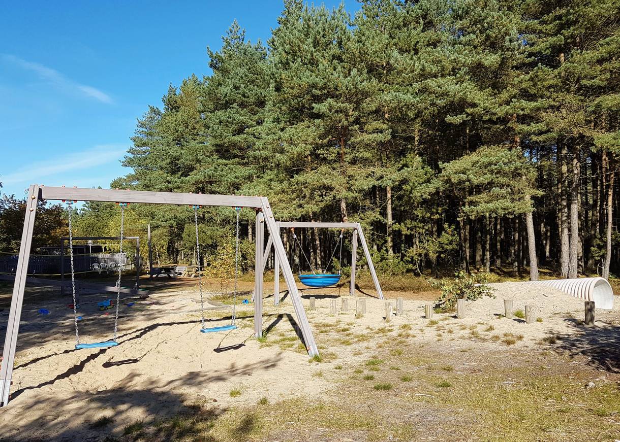 Spielgeräte auf einer Lichtung im Wald
