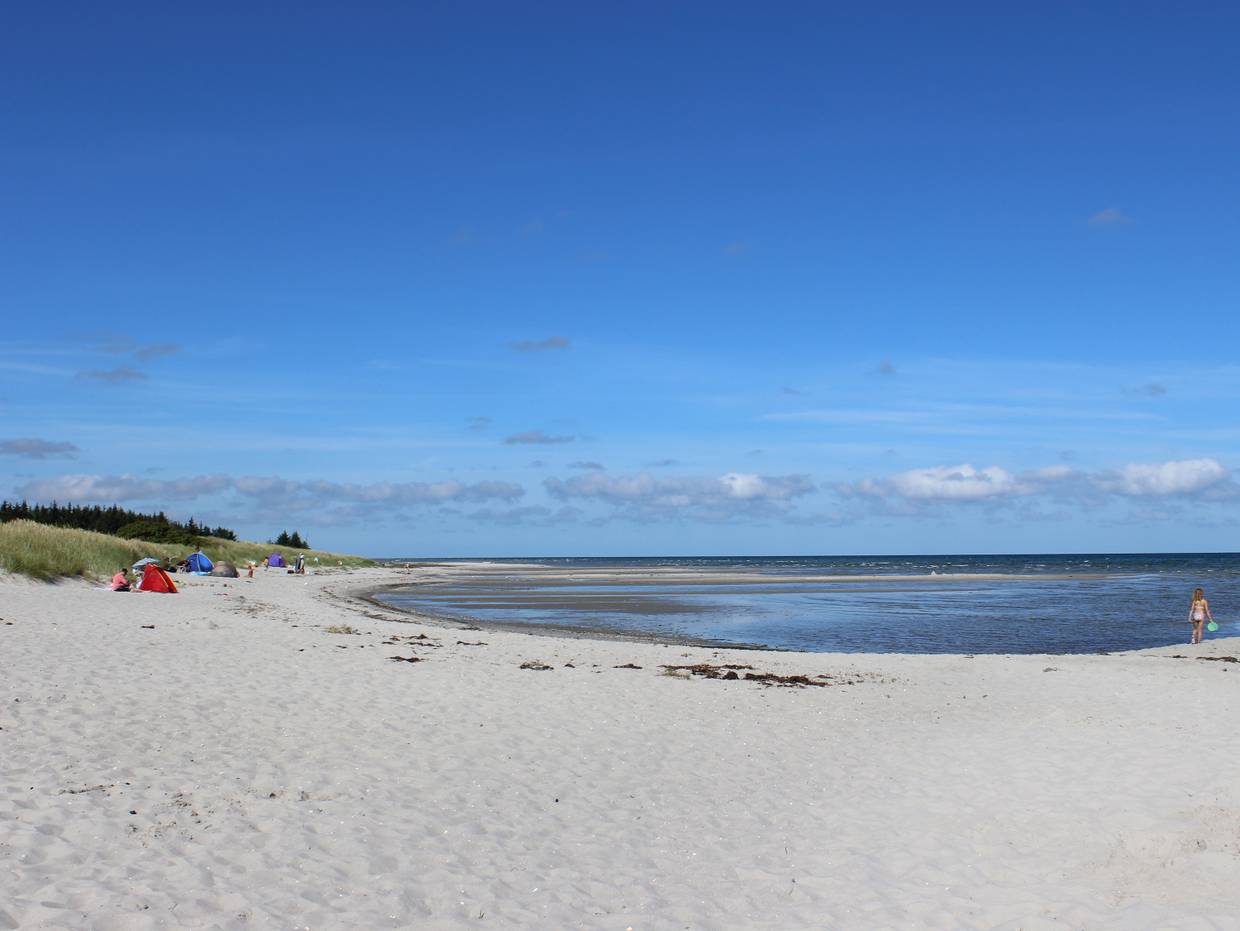 Ostseestrand mit Badegästen an einer flachen Bucht
