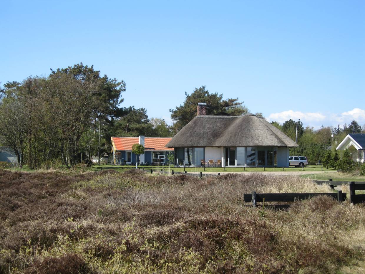 Ferienhäuser zwischen Kiefern und Heide