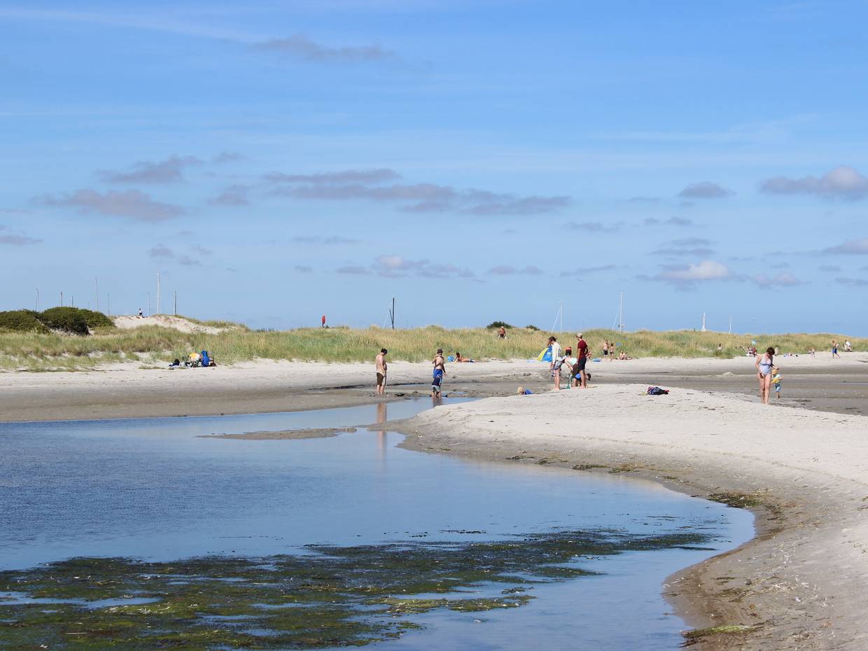 Badegästen an einer Sandbank vor den Dünen