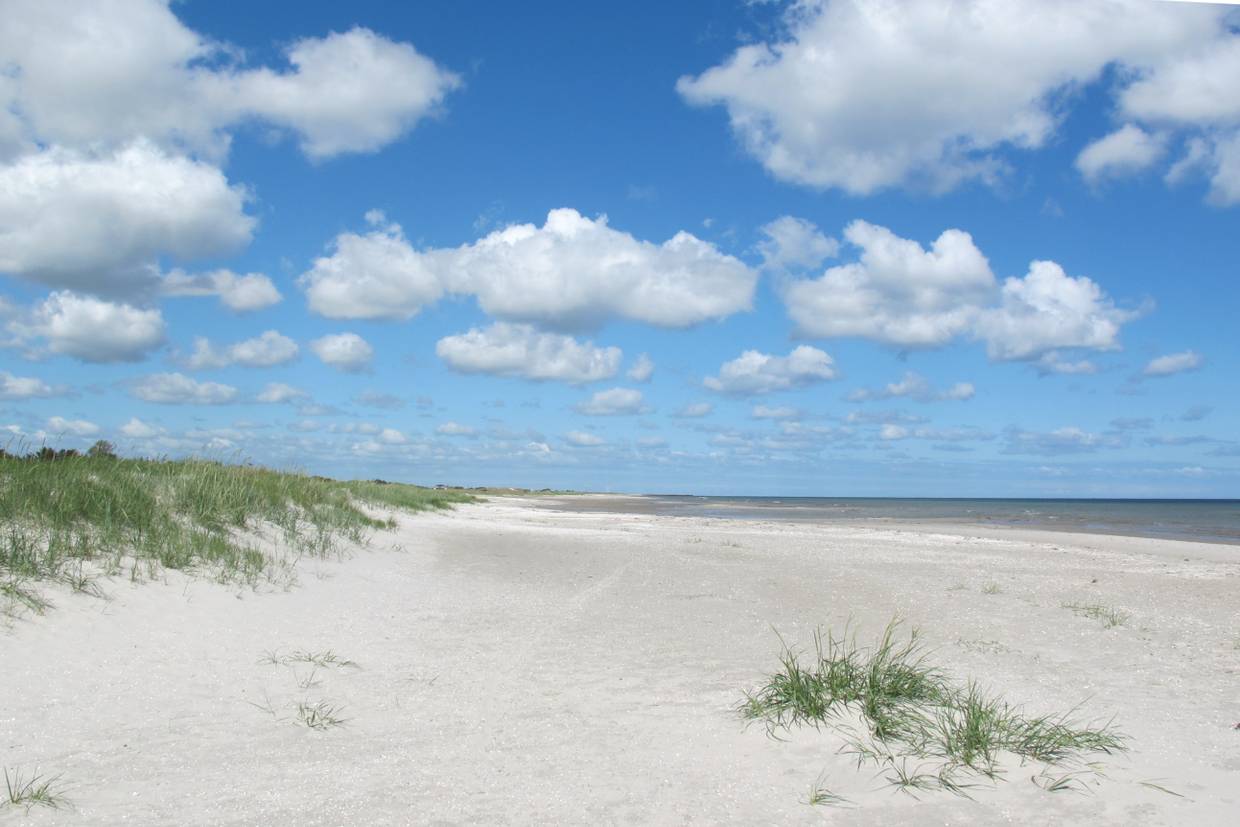 Foto von Hou Strand