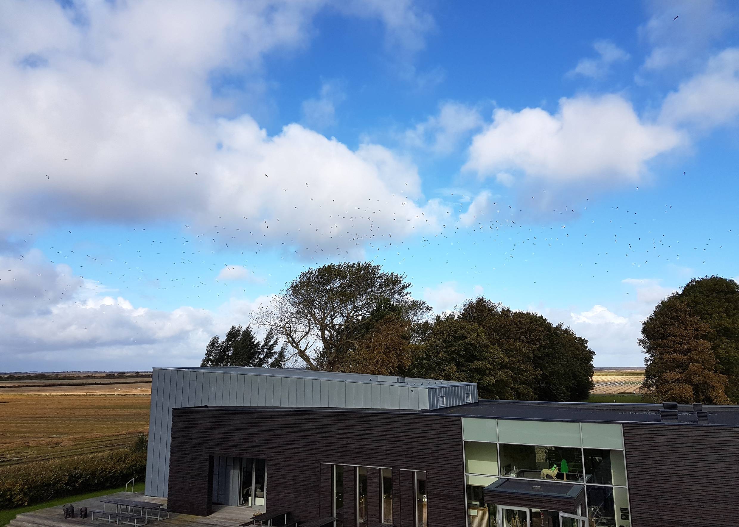 Aussicht über das Besucherzentrum, am Himmel ein Vogelschwarm