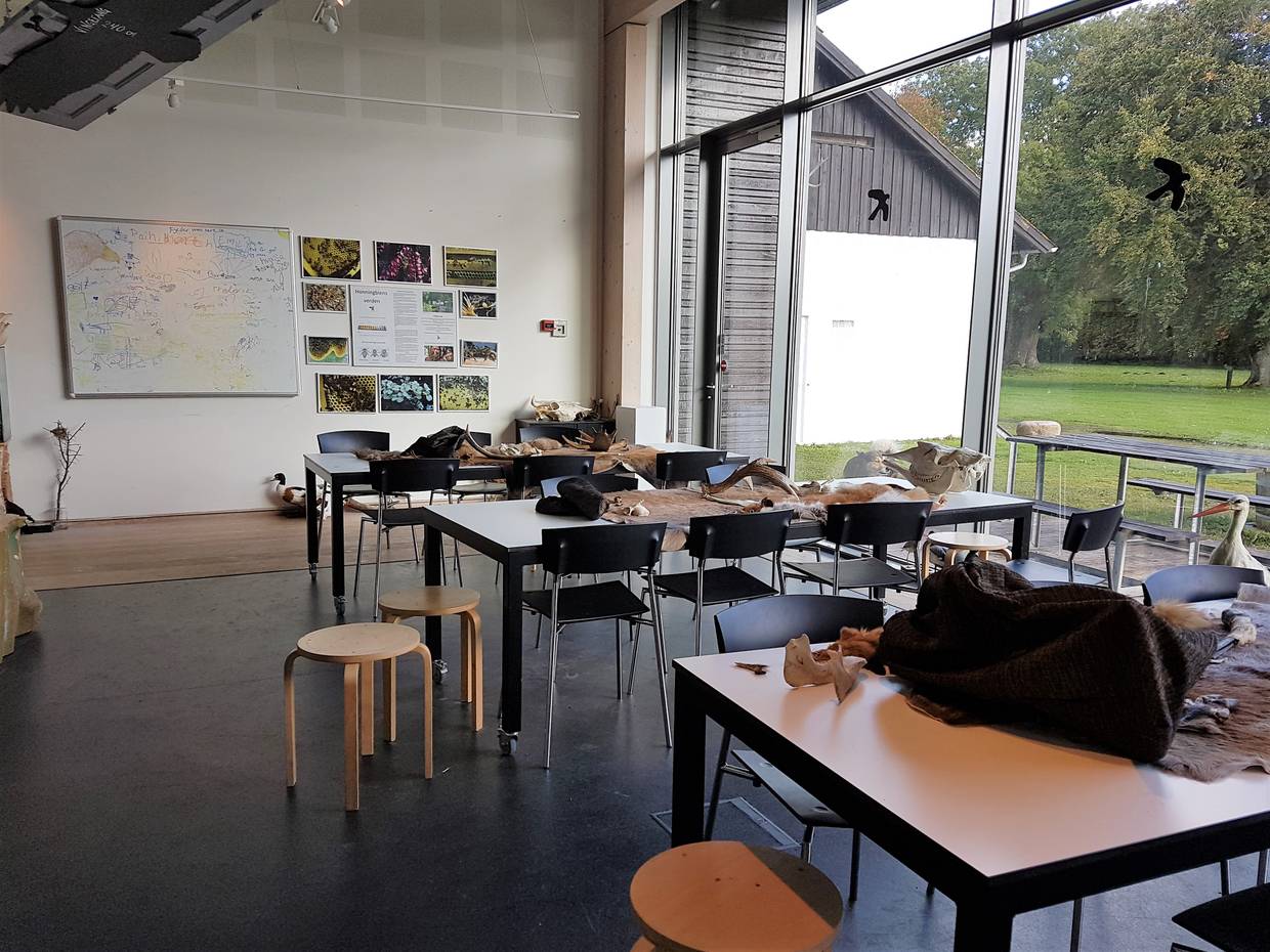 Tische und Stühle in einem Seminarraum im Besucherzentrum