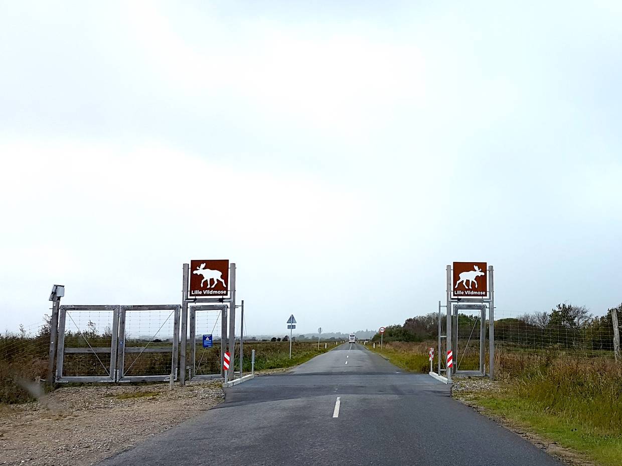 Tor an der Straße zum Lille Vildmose