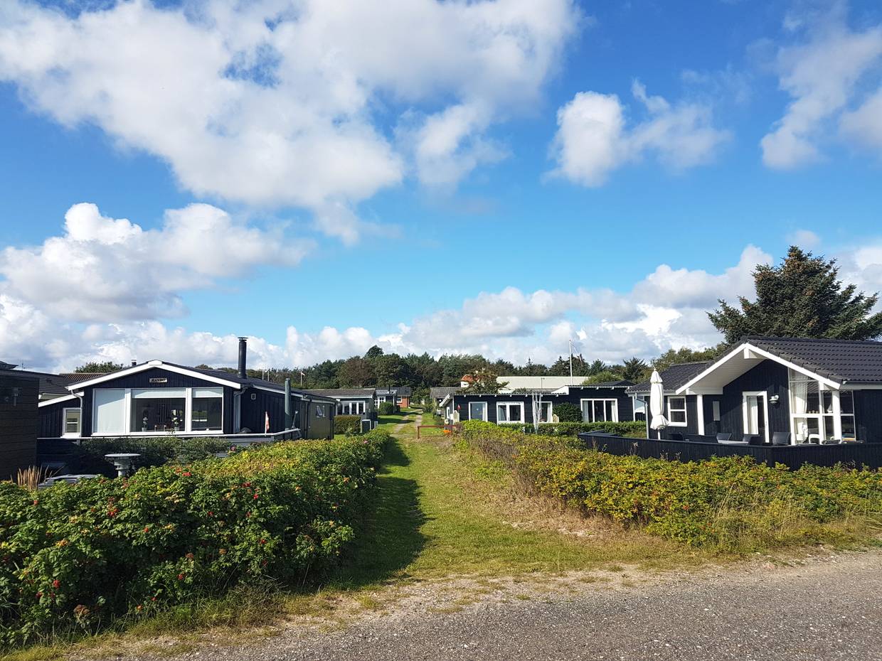 Blick auf ein Ferienhausgebiet mit schwarzen Häusern auf kleinen Grundstücken