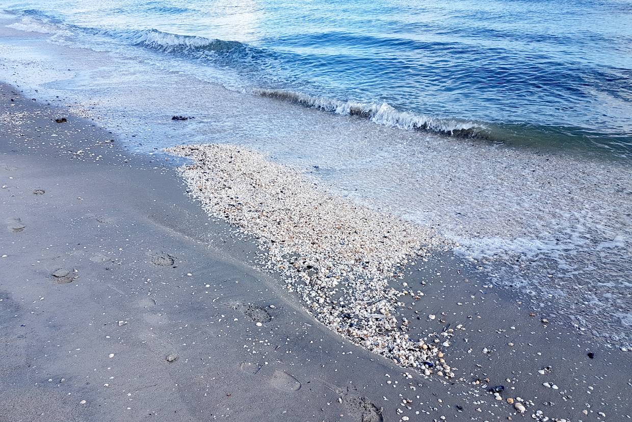Foto von Sæby Strand