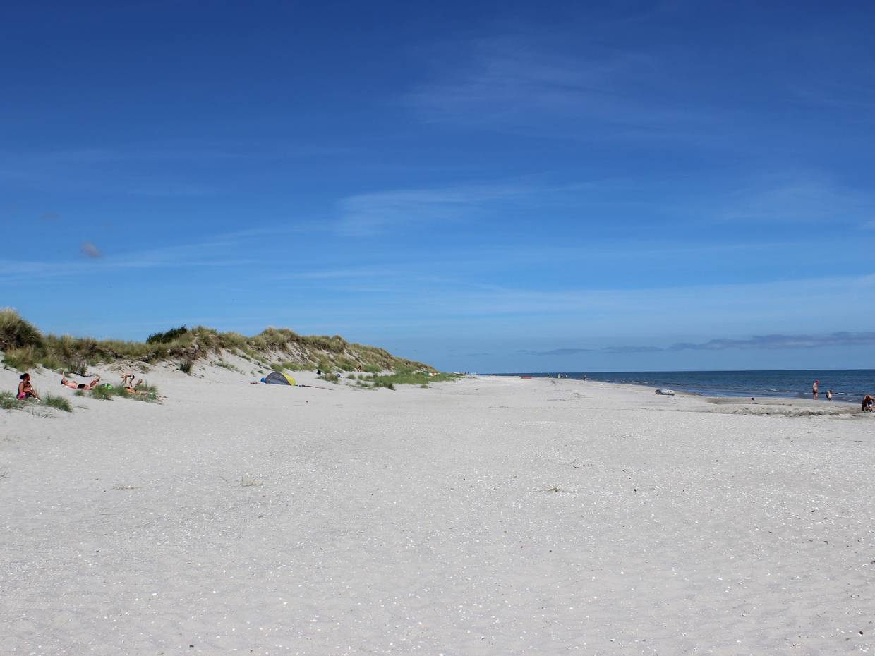 Sandstrand mit vielen weißen Muscheln, blauem Himmel und flachem Meer