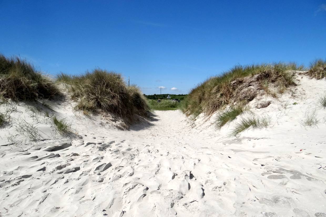 Foto von Lyngså Strand