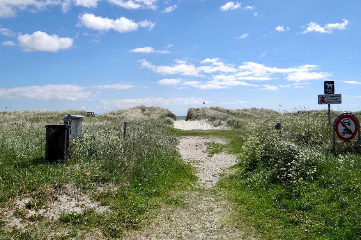 Foto von Lyngså Strand