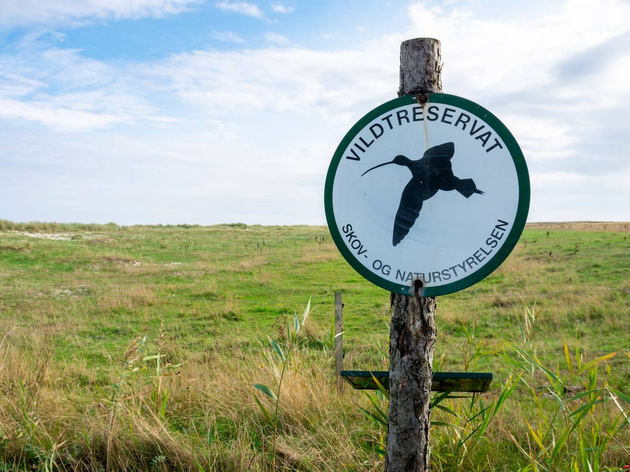 Hinweisschild auf ein Vogelschutzgebiet vor grüner Wiese