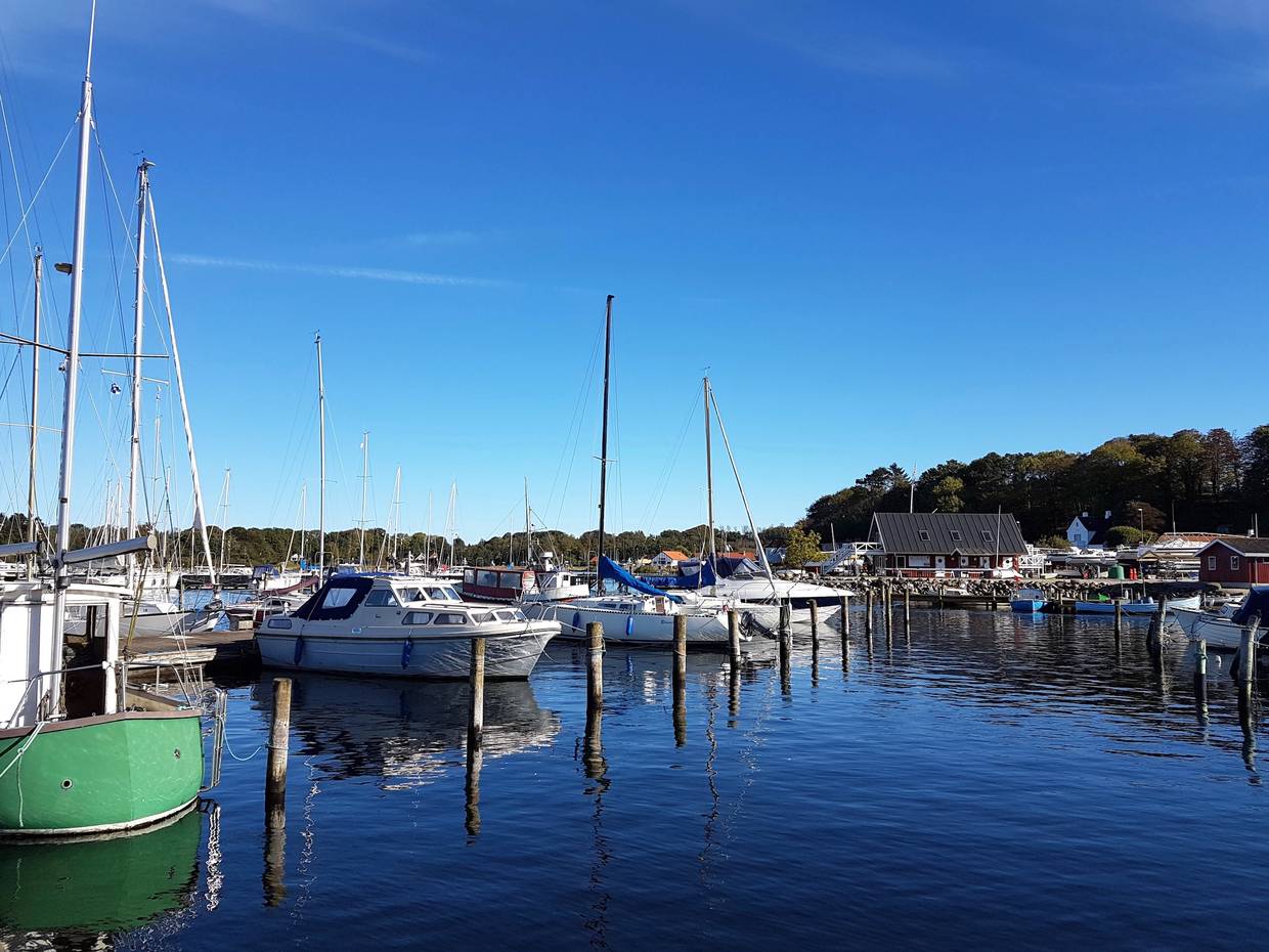 Segelboote in einem Hafen unter blauem Himmel