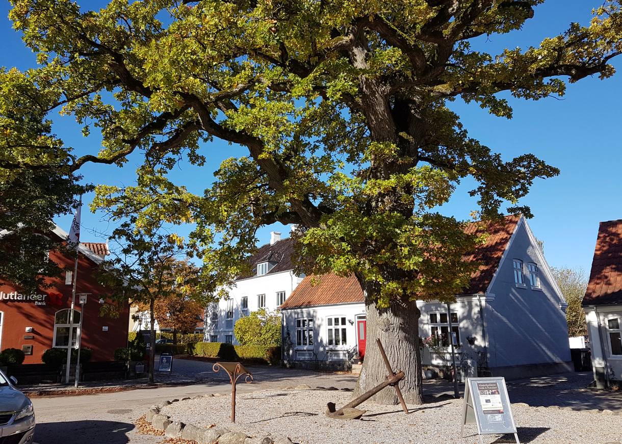 Kopfsteinpflasterplatz mit hohen Bäumen, dahineter kleine Häuser