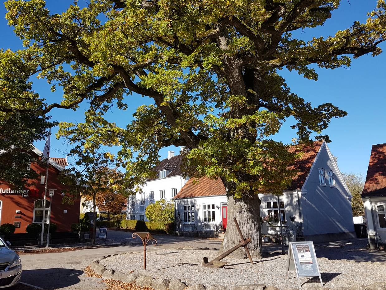 Kopfsteinpflasterplatz mit hohen Bäumen, dahineter kleine Häuser