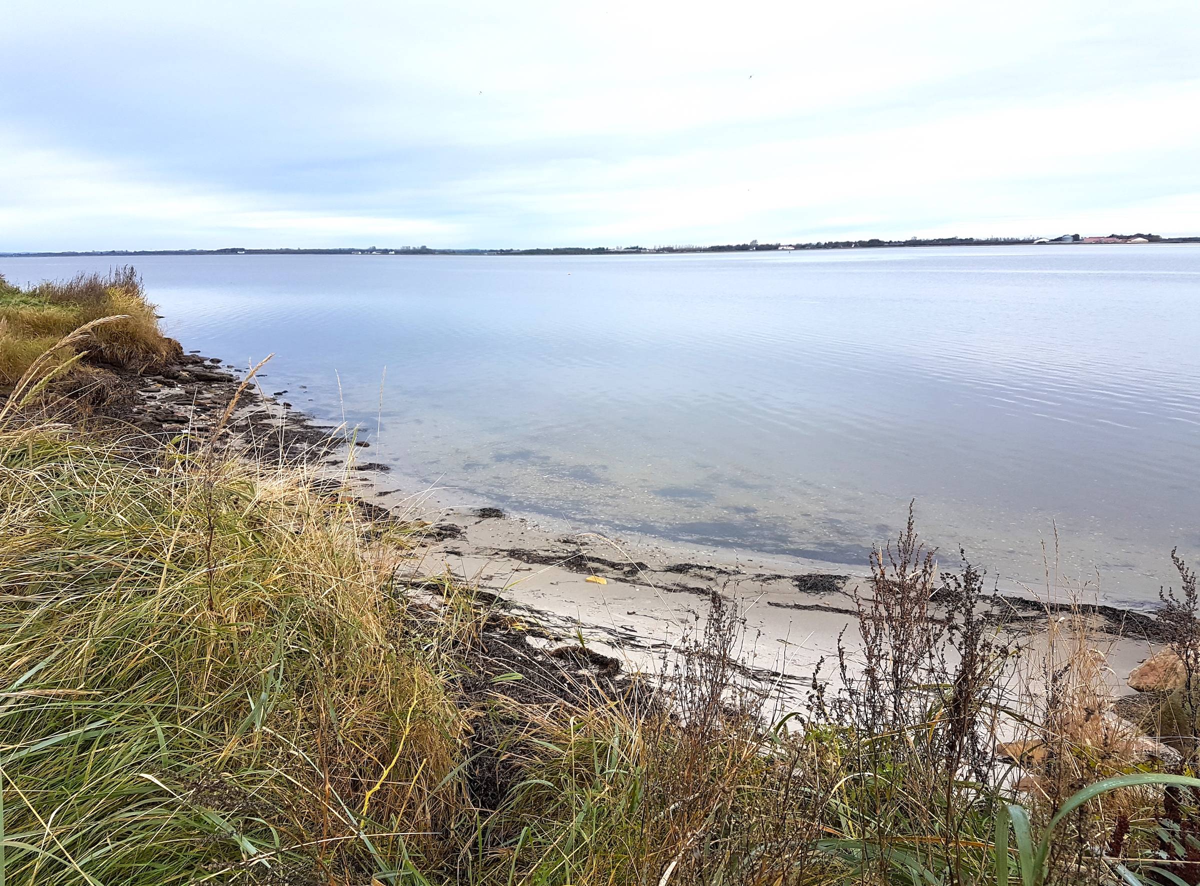 Winziger Sandstreifen am Ufer des Limfjords