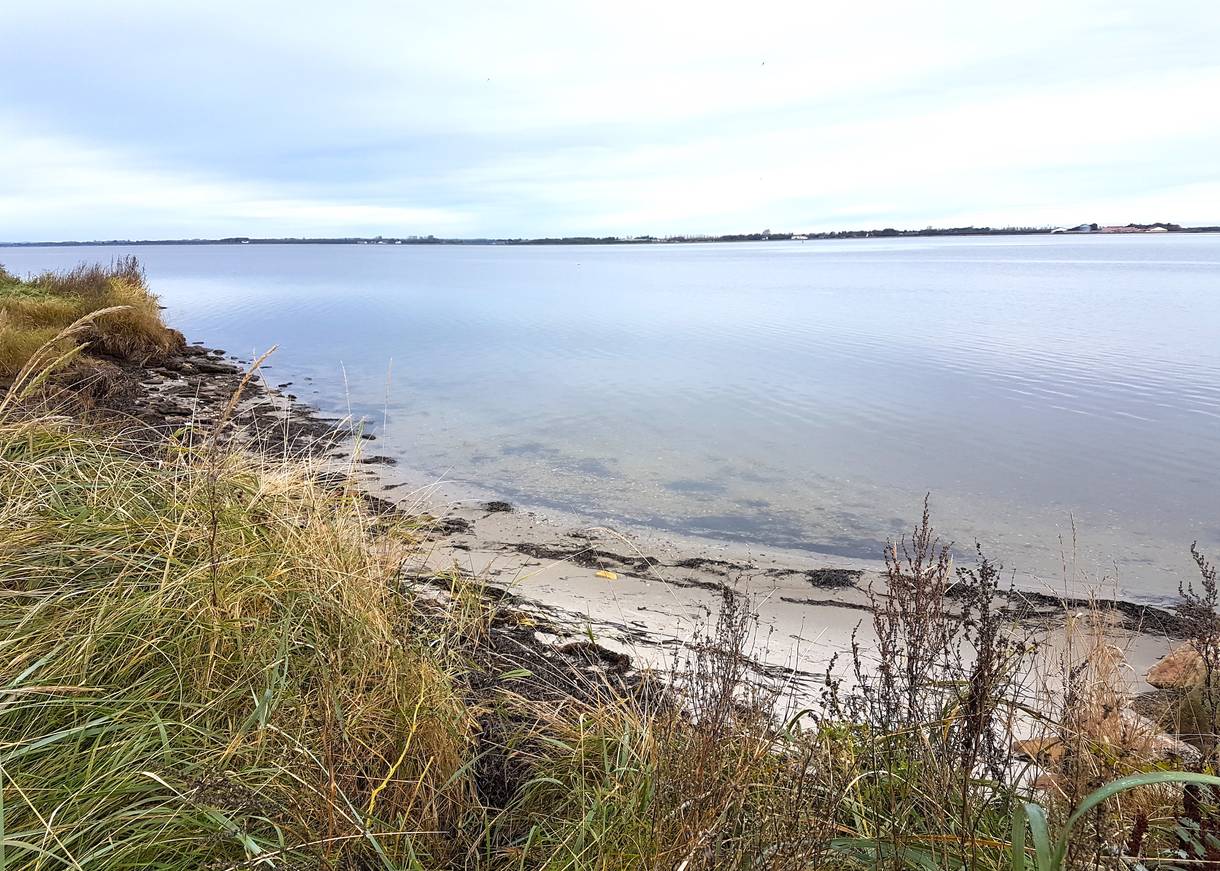 Winziger Sandstreifen am Ufer des Limfjords