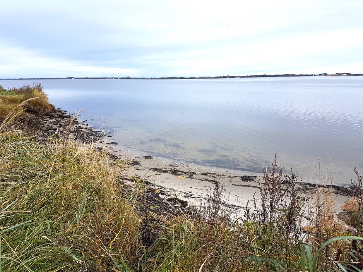 Winziger Sandstreifen am Ufer des Limfjords