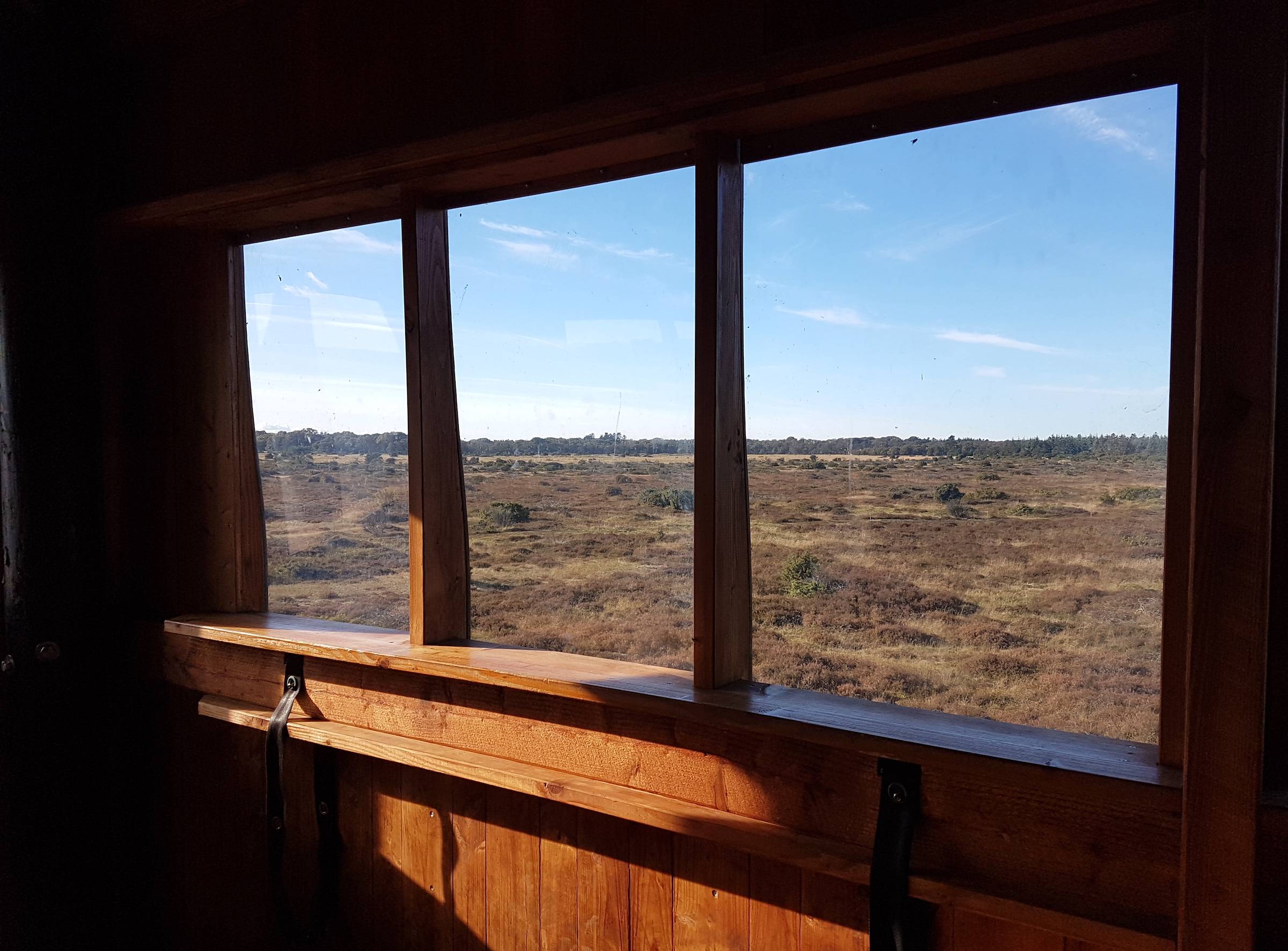 Aussichtsturm am Rand des Lille Vildmoses