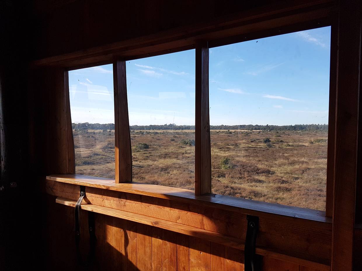 Aussichtsturm am Rand des Lille Vildmoses