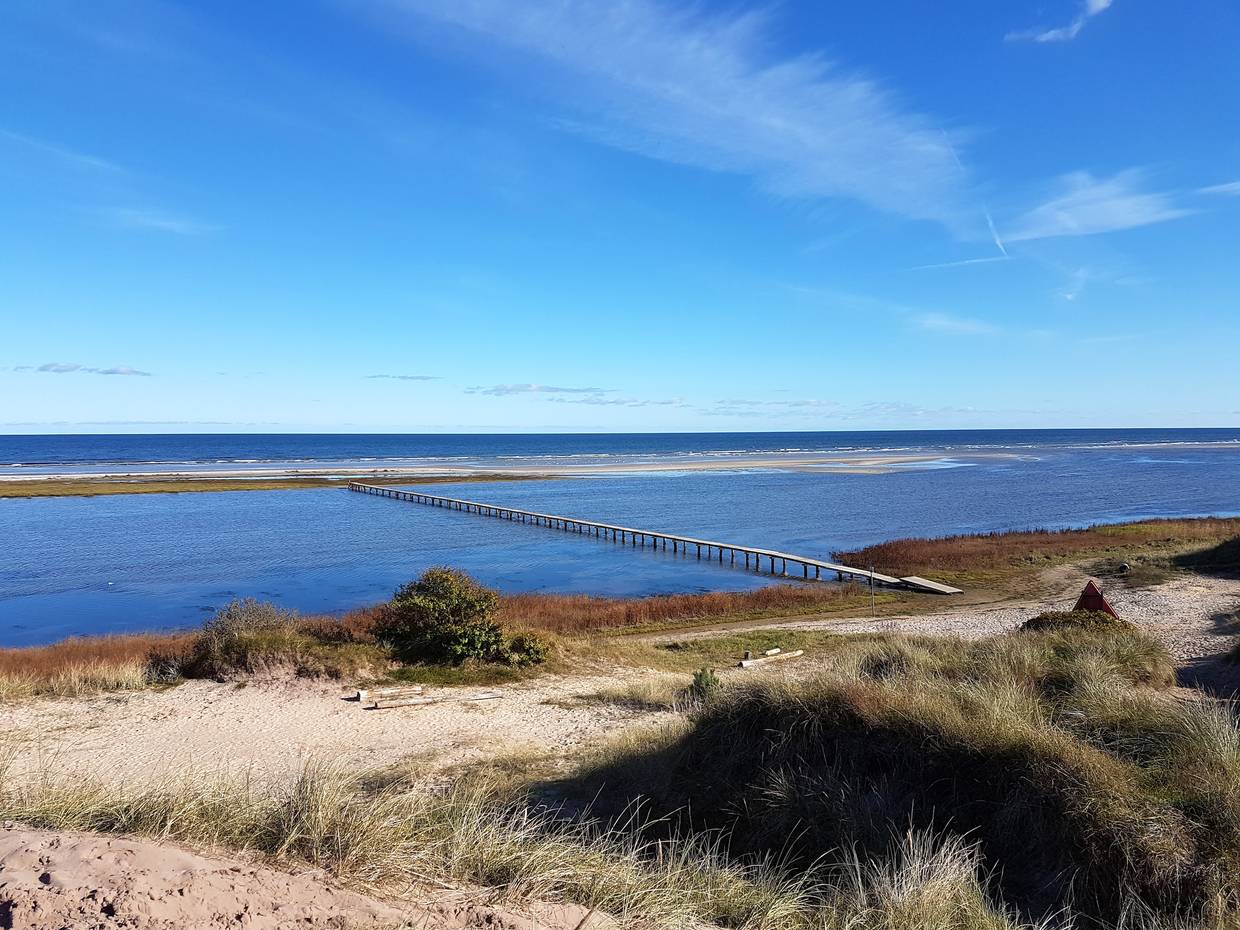 Ein sehr langer Badesteg auf eine Sandbank vor den Ferienhäusern in Øster Hurup