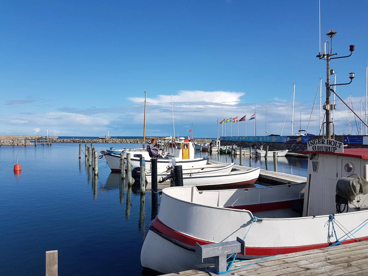 Fischerboote im Hafenbecken