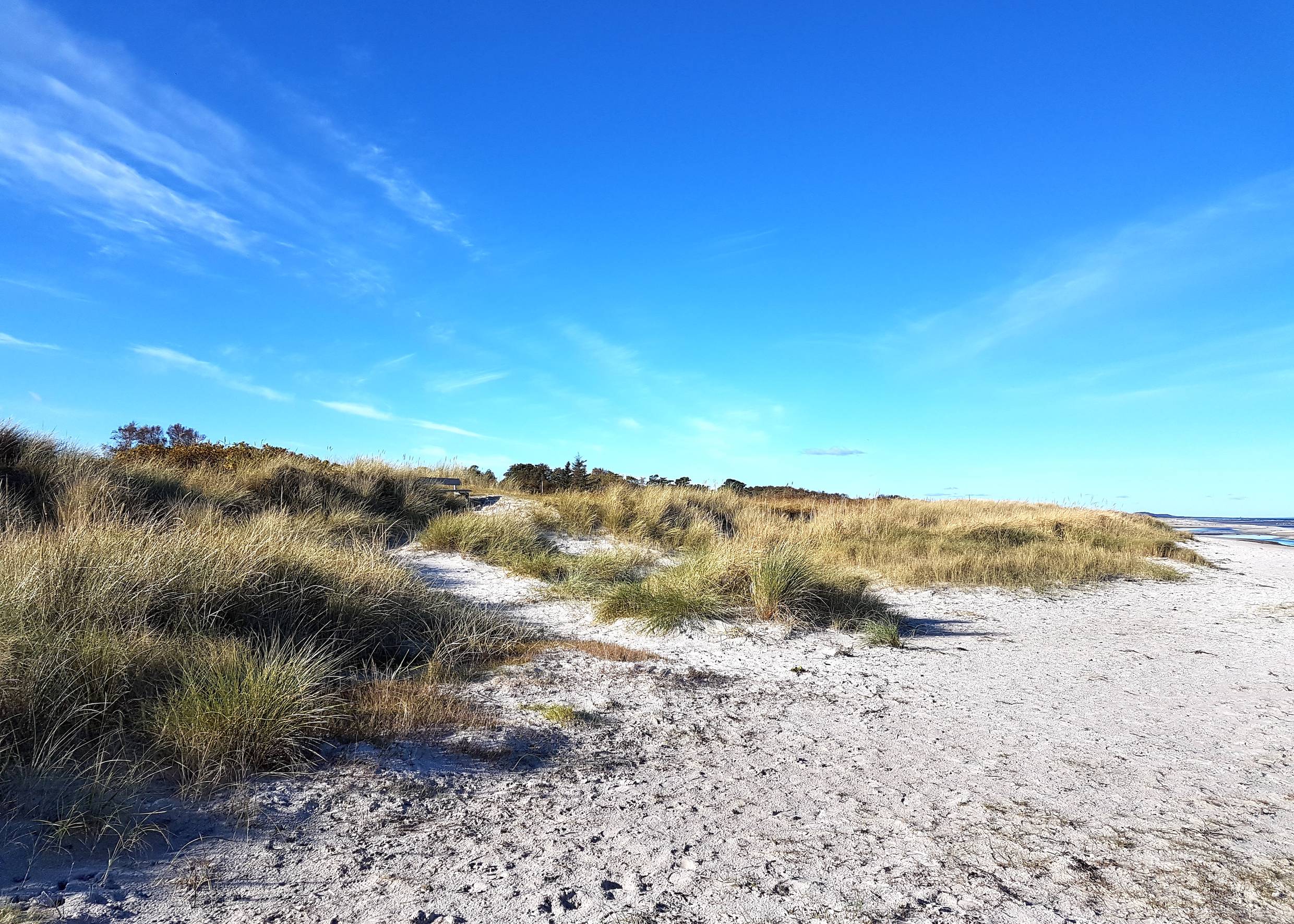 Flache Dünen am Strand, dazwischen eine Bank