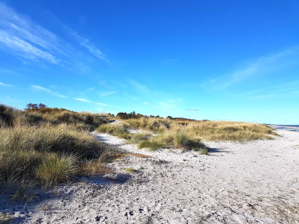Flache Dünen am Strand, dazwischen eine Bank