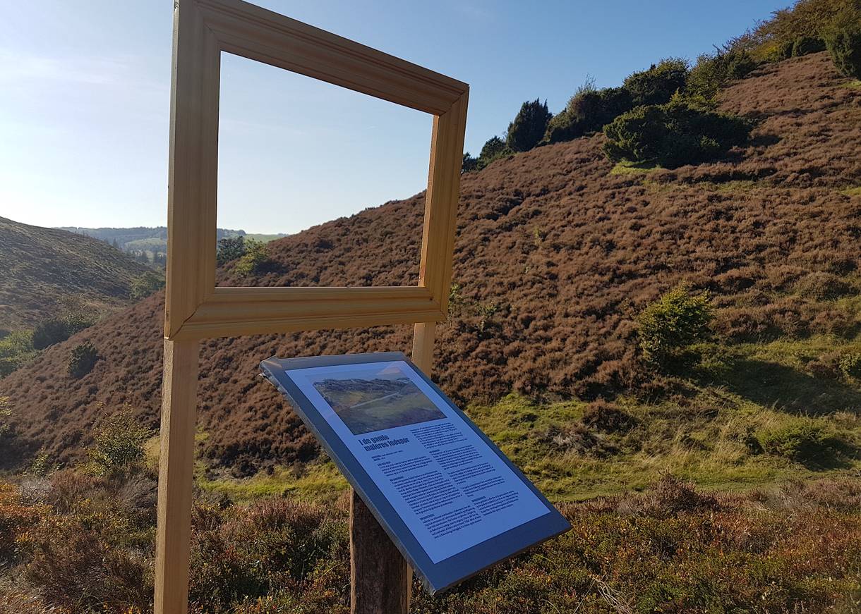 Leerer Holzrahmen in der Heidelandschaft