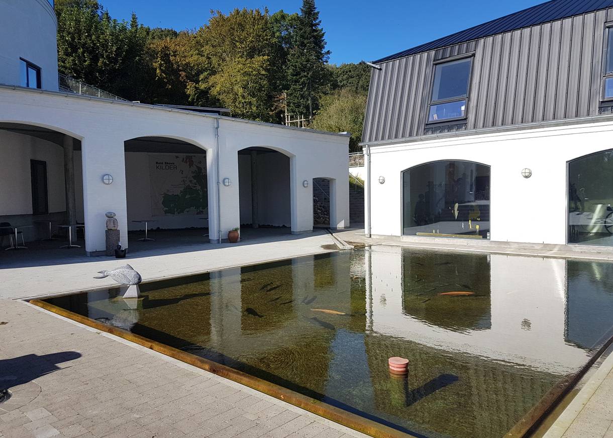 Rechteckiges Wasserbecken im Innenhofs