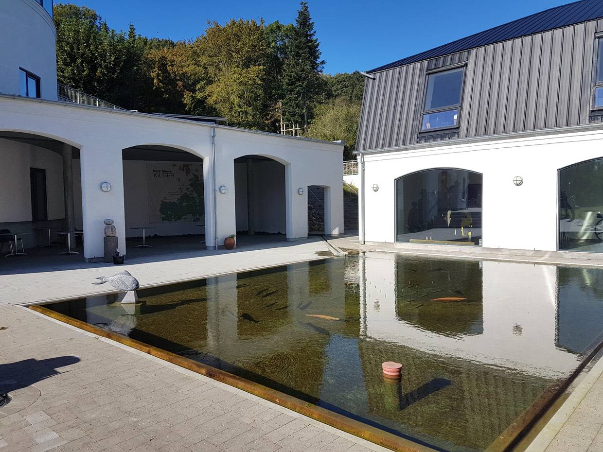 Rechteckiges Wasserbecken im Innenhofs